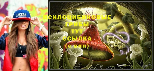круглые Аркадак